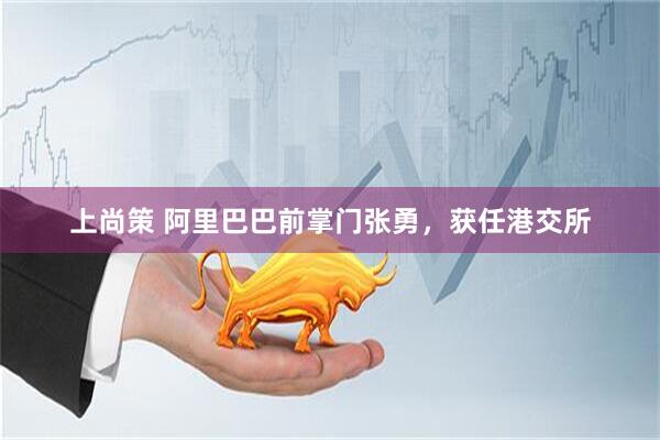 上尚策 阿里巴巴前掌门张勇，获任港交所