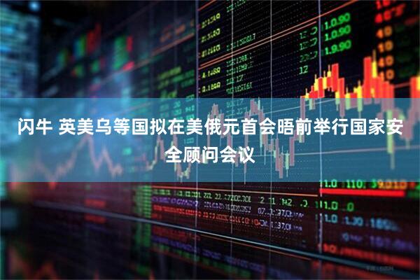 闪牛 英美乌等国拟在美俄元首会晤前举行国家安全顾问会议