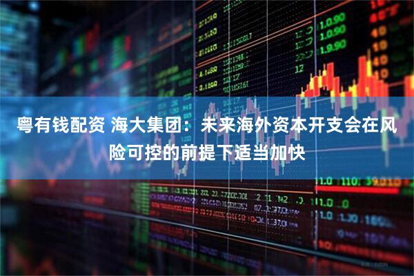 粤有钱配资 海大集团：未来海外资本开支会在风险可控的前提下适当加快