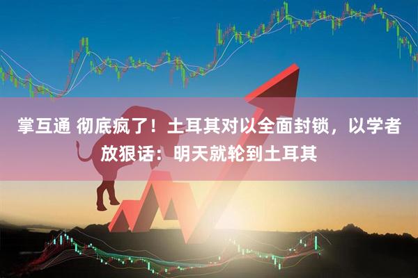 掌互通 彻底疯了！土耳其对以全面封锁，以学者放狠话：明天就轮到土耳其