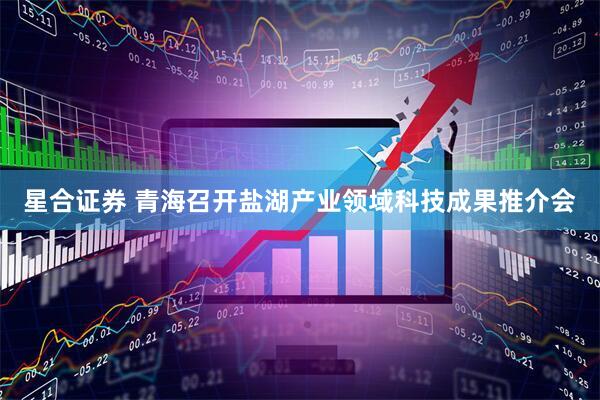 星合证券 青海召开盐湖产业领域科技成果推介会