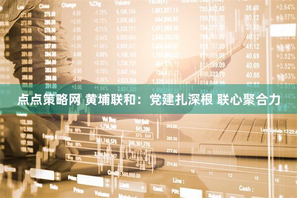 点点策略网 黄埔联和：党建扎深根 联心聚合力